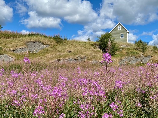 Tours to Newfoundland
