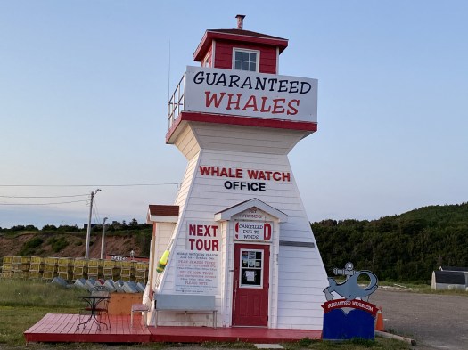 Whale Watching Cape Breton