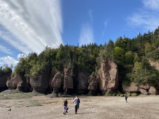 Hopewell rocks wonder of the world